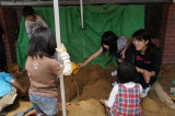 img0137.jpg