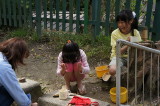 img0143.jpg