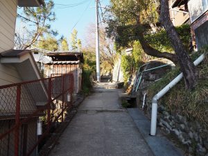 まっすぐ登ります。