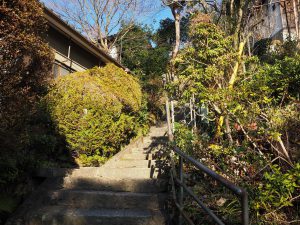 細かい階段を登ります。ゴール間近。