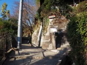 分かれ道もまっすぐ登ります。