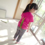 DSCF7003