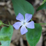 DSC02759
