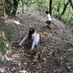 DSC03501