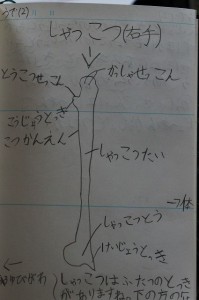 DSC00968