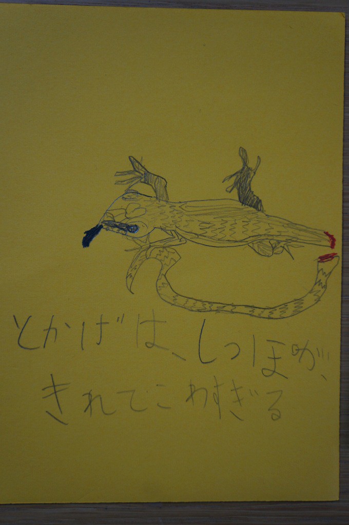 DSC09550