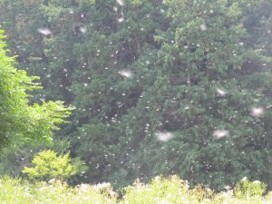 20160912191916_original